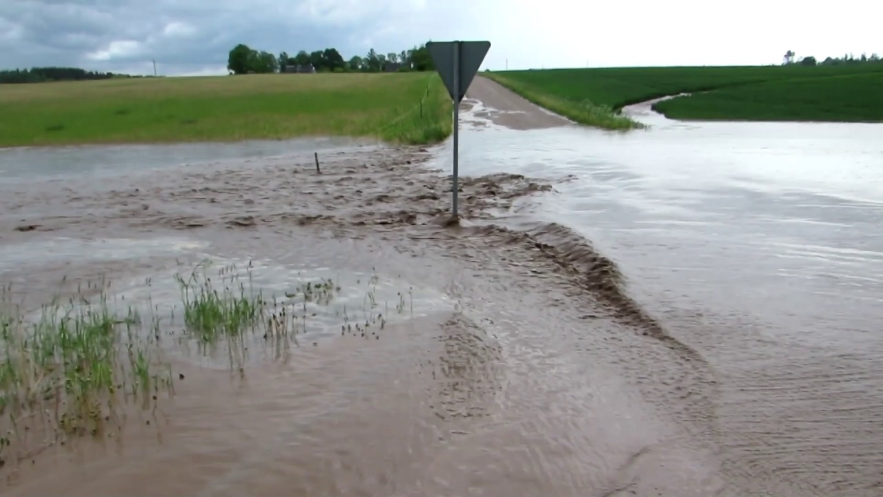 Paduvihma kahjude likvideerimine juba käib