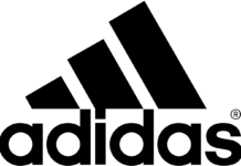 Kaotatud spordikott