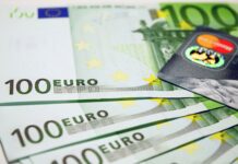 Üksi elava pensionäri toetus