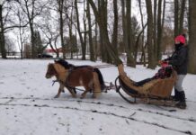 Perepäev – EV 100