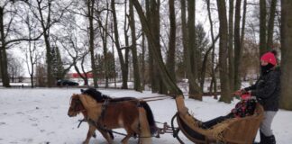 Perepäev – EV 100