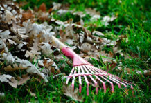 Kevadisi mõtteid rehitsedes