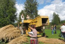 Reisimine pakub rõõmu ja kosutab enesetunnet