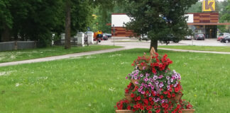 Koolipoiste loovtöö kaunistab meie koduvalda