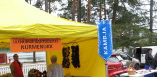 Hillitsetult elamusrikas suvi