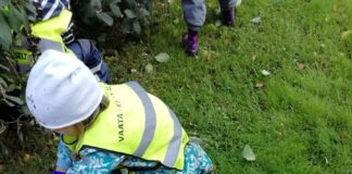 Sipelgad aitasid peatada kurja tegija!