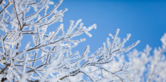 Turvalist ja tegusat aastat meile kõigile!
