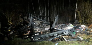 Soinastes hävis tules kuur