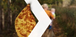 Vähekindlustatud lasterikkad pered saavad taotleda kodutoetust