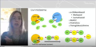 Õpilaste teadustööde I preemia tuli Kambja valda