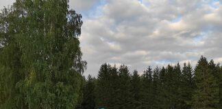 Kiivitaja talu kutsub vabaõhukontsertidele!