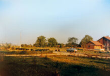 Suvi küpseb tasapisi sügiseks