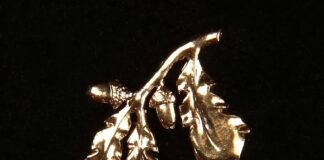 Esitada saab ettepanekuid Tartumaa Kuldne Tammeoks kandidaatide kohta