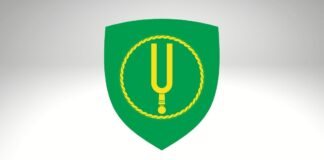 Vald ootab ettepanekuid aukodaniku, aasta tegija ja aasta teo nimetamiseks