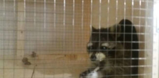 Päeva pilt: pesukaru jõudis koju