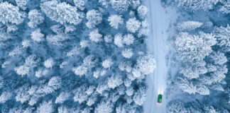 Probleemid libedatõrjes ja prügiveos