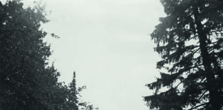 Teekond Ülenurme mõisast põllumajanduse muuseumini…