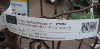 Taimede ja seemnete ostmise ABC