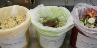 Uuel aastal peab toidujäätmeid juba liigiti koguma