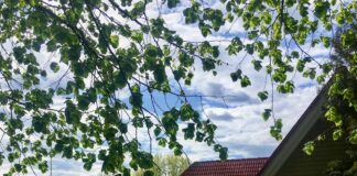 Kauni kodu konkursile oodatakse kandidaate