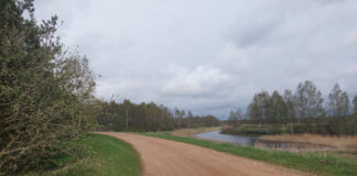 Mootorsõidukitele rakendub liiklemise piirang teel Konsu sild – Polder