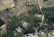 Metsatööd Kambja terviseradadega piirnevates metsades