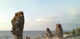 Raamatukoguhoidjad käisid Gotlandil