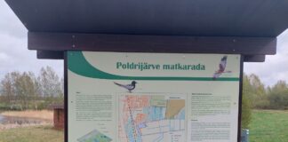 Väljaarendamisel on kaasava eelarve rahvahääletuse võitnud Poldrijärve matkarada