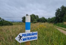 Kestab 2023. aasta kaasava eelarve ideekorje