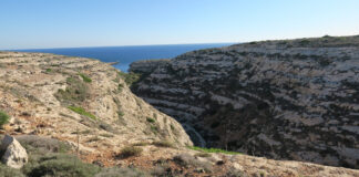 Lampedusale vaikse raamatu järele