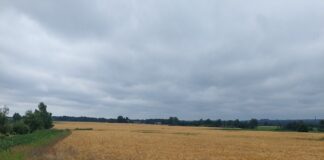 Avanes 2023. aasta hajaasustuse programmi taotlusvoor