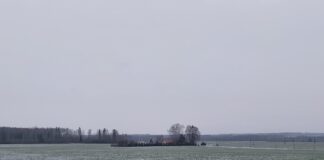 Avanes 2024. aasta hajaasustuse programmi taotlusvoor