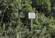 Avalikku ruumi tuleb suhtuda heaperemehelikult