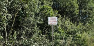 Avalikku ruumi tuleb suhtuda heaperemehelikult