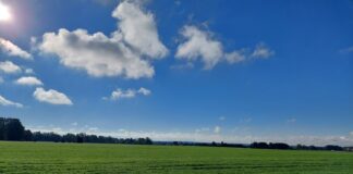 Kui palju ning millal tõuseb maamaks?