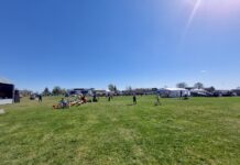 Nädalavahetusel toimuvad Tõrvandis ja Kambjas kevadlaadad