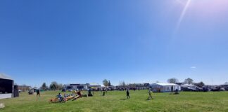 Nädalavahetusel toimuvad Tõrvandis ja Kambjas kevadlaadad