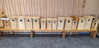 Vabad “kinnisvara objektid”