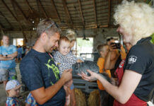 Rekord: avatud taludesse tehti ligikaudu 280 000 külastust