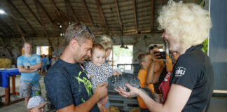 Rekord: avatud taludesse tehti ligikaudu 280 000 külastust