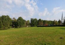 Kambja noortevolikogu liikmed kutsuvad maailmakoristuspäevale