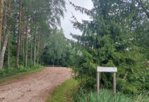 Kambja suusaradade piirkonnas viib RMK läbi raietöid