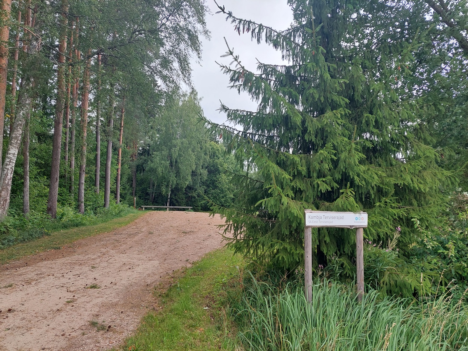 Kambja suusaradade piirkonnas viib RMK läbi raietöid