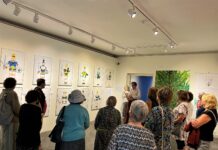 „Seenioride reede“ eriprogramm ootab väärikas eas kunstinautijaid