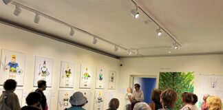 „Seenioride reede“ eriprogramm ootab väärikas eas kunstinautijaid