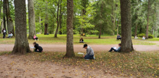 Puud annavad käest kätte kuuldud lugusid