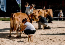 Kui laupäevahommikune poolunine laadakülaline kaaslasega Tartust Ülenurmele jõudis…
