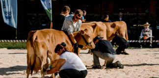 Kui laupäevahommikune poolunine laadakülaline kaaslasega Tartust Ülenurmele jõudis…