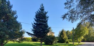 Külitse ühisveevärgi ja -kanalisatsiooni projektist