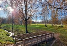 Kaasava eelarve hääletusel kogusid enim hääli esitatud ideed Ülenurmelt ja Vana-Kuustest